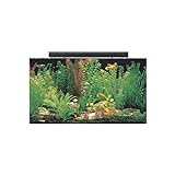 SeaClear 50 gal Acrylic Aquarium Combo Set, 36 by 15 by 20', Clear