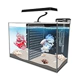iPriro 3 Gallon Fish Nano Glass Aquarium, with Separator Plate for Betta, Multi-Functional Square Fish Tank with Filter, LED Light, Black 4mm Glass