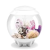 biOrb HALO 15 Aquarium with MCR Lighting - 4 gallon, White