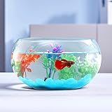LAQUAL 1 Gallon Glass Fish Bowl with Decor, Include Fluorescent Rocks & Colorful Plastic Trees, High White Glass for Clear View, Small Fish Bowl/Aquarium for Betta/Goldfish, Nice Home Décor