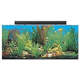 SeaClear 30 gal Show Acrylic Aquarium Combo Set, 36 by 12 by 16', Clear