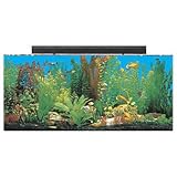 SeaClear 30 gal Show Acrylic Aquarium Combo Set, 36 by 12 by 16', Clear