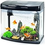 Bluecoco 10-Gallon Glass Aquarium Starter Kit with Flip-Top Feeding Port for Betta Fish: Crystal Clear Viewing, Eco-Cycle Filtration, Air Pump, and LED Lighting