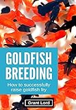 Goldfish Breeding: How to Successfully Raise Goldfish Fry