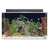 SeaClear 29 gal Show Acrylic Aquarium Combo Set, 30 by 12 by 18', Clear