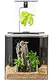 EcoQubeC Aquarium - Desktop Betta Fish Tank For Living Office And Home Décor