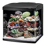 Coralife LED BioCube Aquarium Fish Tank Kit, 32 Gallon