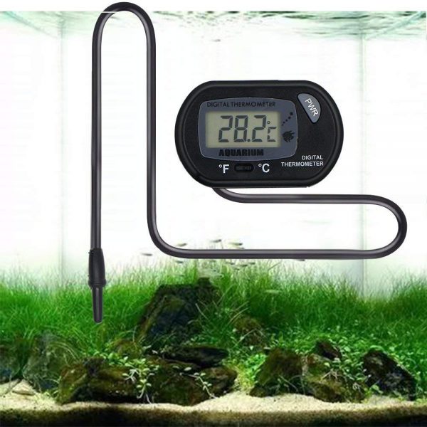 Best Test Kit For Measuring Aquarium Water Parameters - Fishxperts