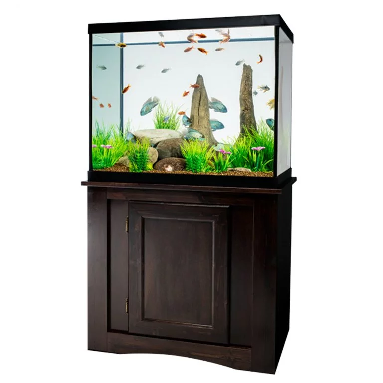 Best Quality 40-Gallon Fish Tanks Available In The Market - Fishxperts