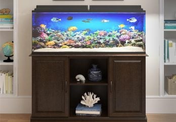 7700 Aquarium Design Guidelines HD